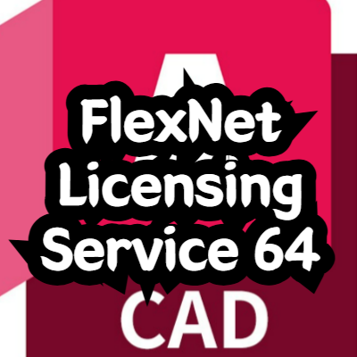 FlexNet Licensing Service 64